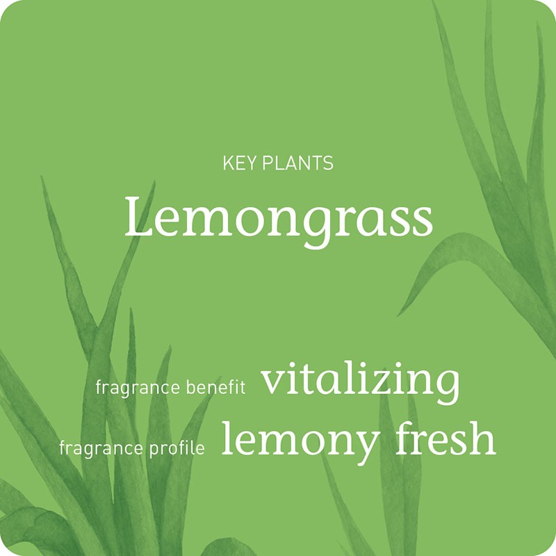 happy lemongrass h